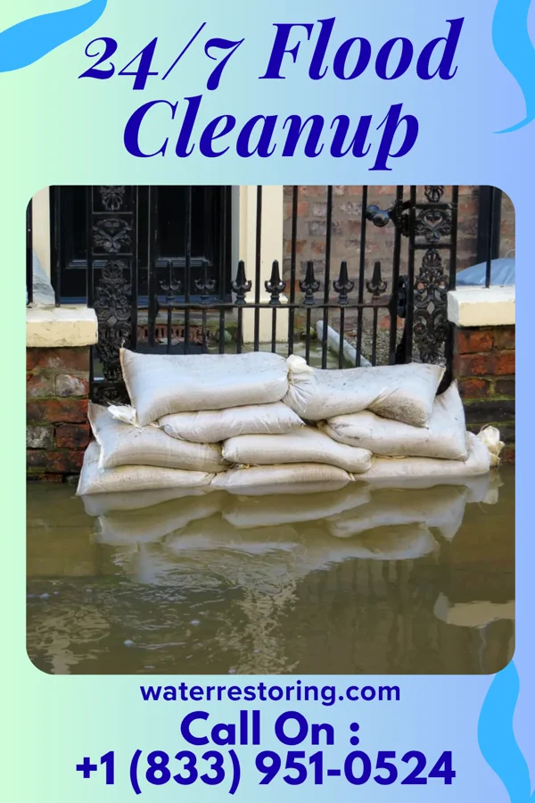 24/7 Flood Cleanup in White Cloud, MI