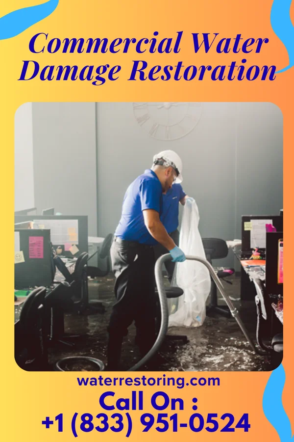 Commercial Water Damage Restoration in White Cloud, MI