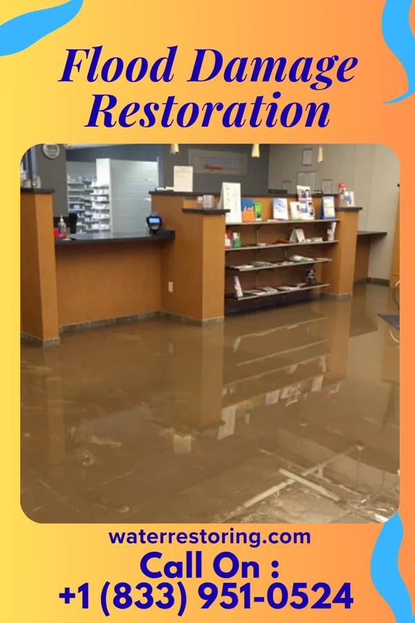 Flood Damage Restoration in White Cloud, MI