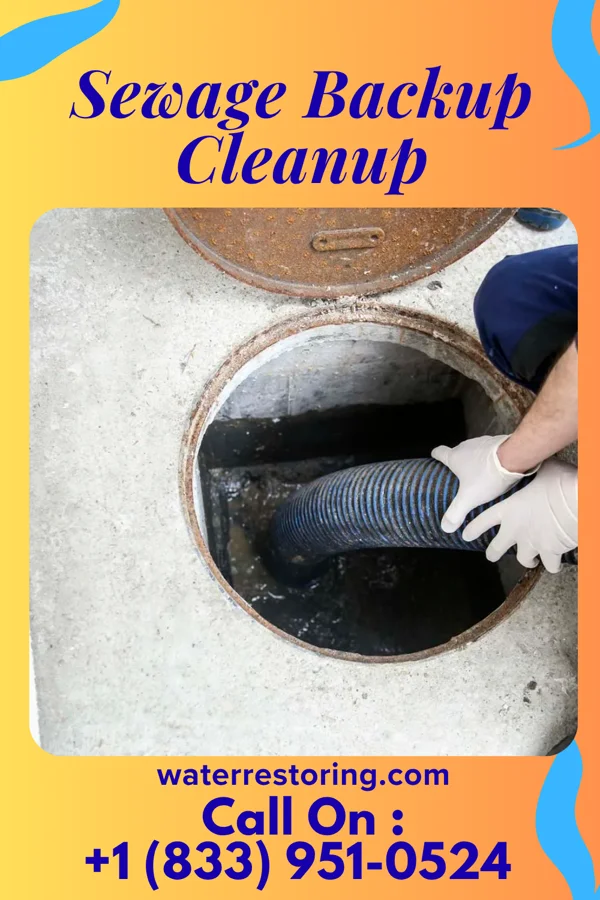 Sewage Backup Cleanup in White Cloud, MI