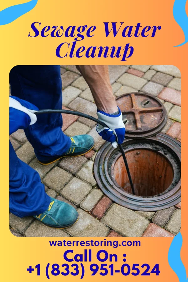 Sewage Water Cleanup in White Cloud, MI